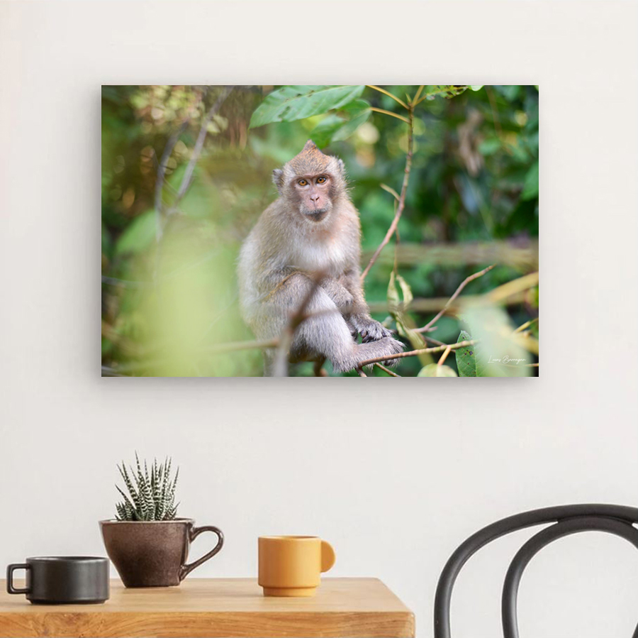 Photo sur toile