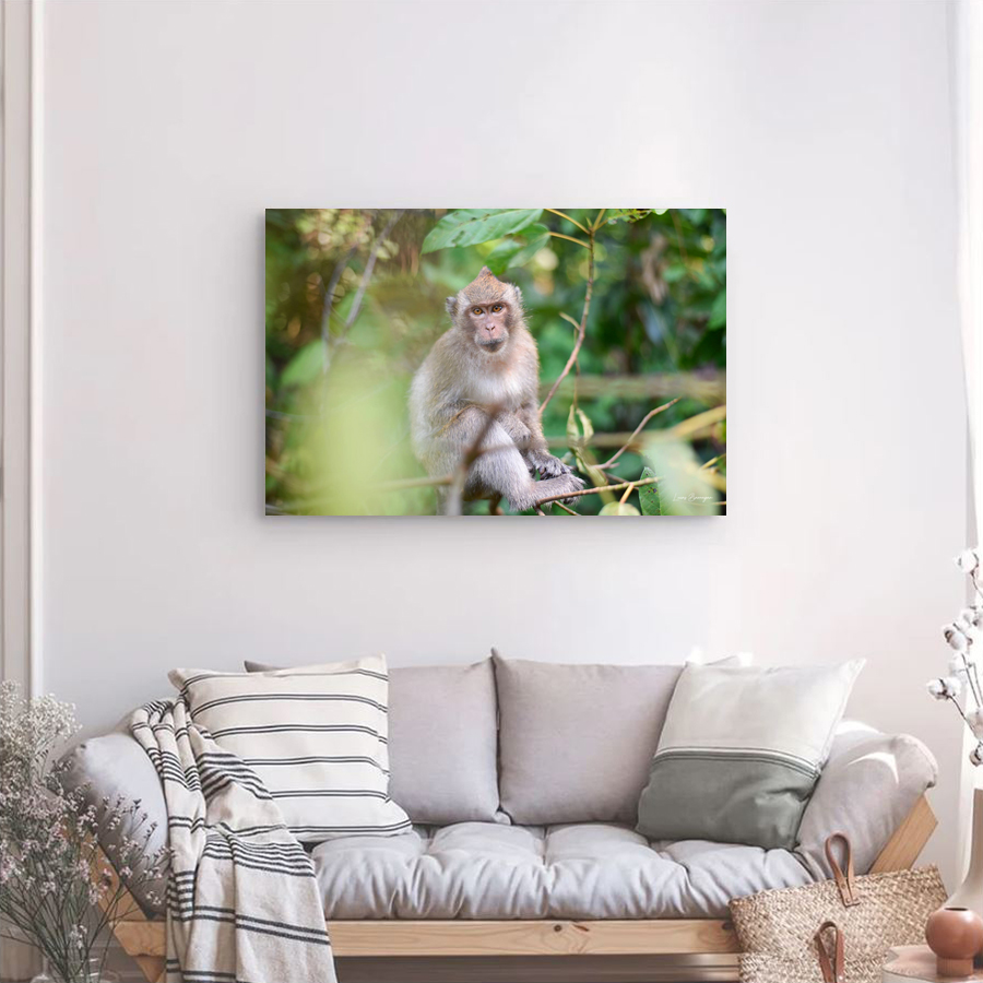 Photo sur toile